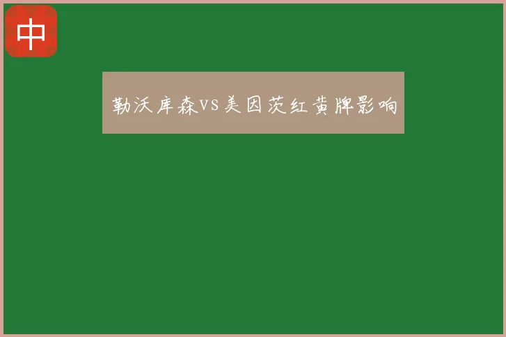 勒沃库森vs美因茨红黄牌影响